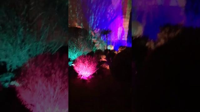 Садовая подсветка. Ландшафтная подсветка
