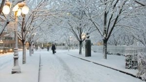 Adamo-Tombe la neige cover Christian Lavoie-musique - vidéo