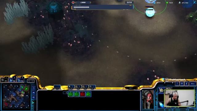 Protoss Starcraft 2 Builds