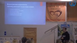 Гаранин Д. В. в УЦ «Зоовет» | Онкологическая хирургия, ч.2