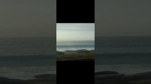 20241010_171923