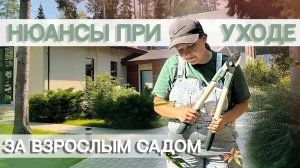 Нюансы при уходе за взрослым садом _ Малоуходный сад
