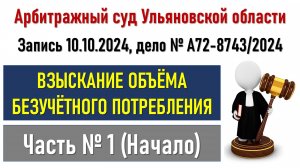 Заседание в Арбитражном суде Ульяновской области Часть1