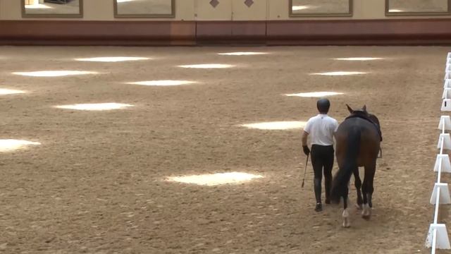 Nicolas Sanson, Emily Freeland Saumur 2016 смотреть онлайн