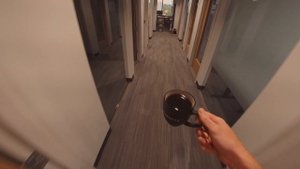 4500263-hd_1920_1080_24fps