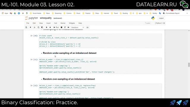 ML-101 | Module 03 | Lesson 01 | Binary Classification: Theory & Practice | Anastasia Rizzo