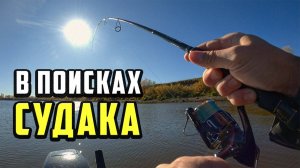 СУДАК на СПИННИНГ - радость в лодку. Рыбалка с лодки на реке. Рыбалка 2024