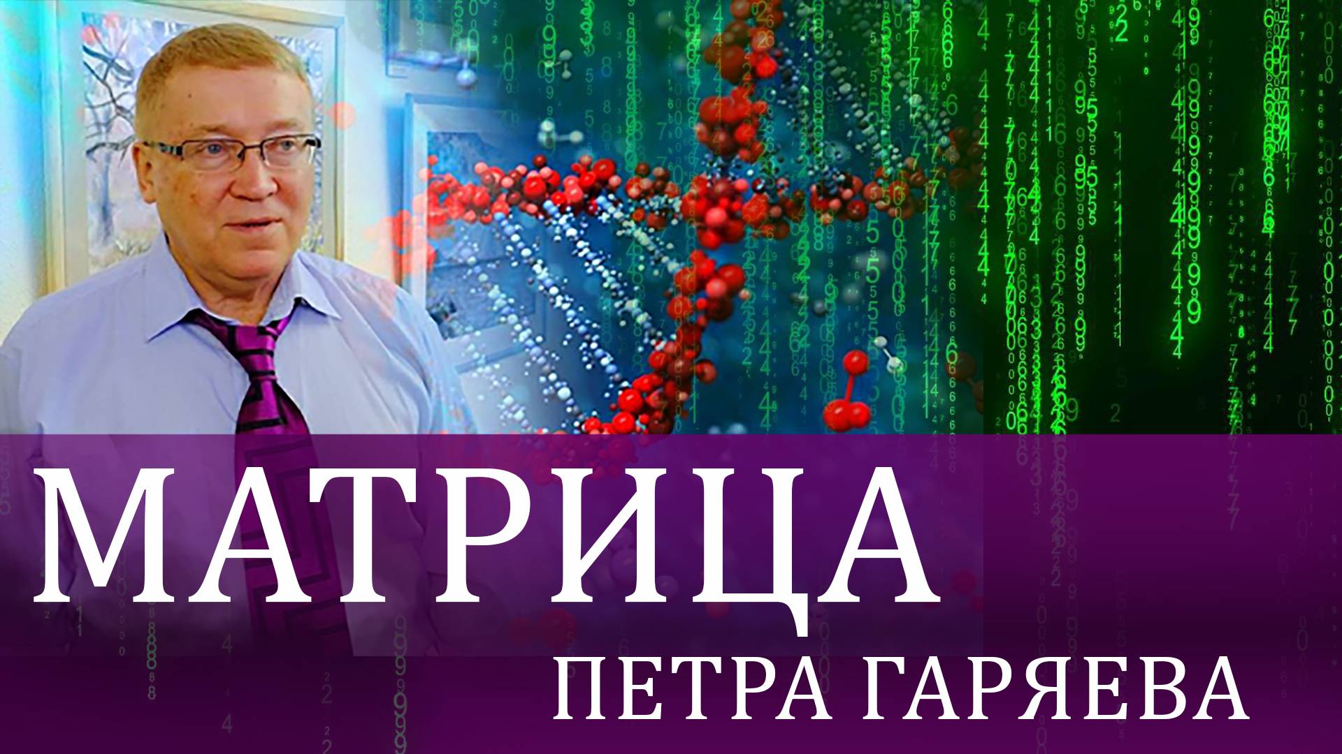 Матрицы Гаряева. Телепередача "Гость в студии" (2014)