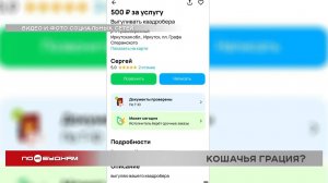 Услуги по выгулу квадроберов появились в Иркутске