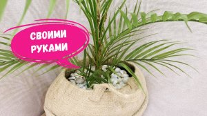 Будто сами нападали -  Оформила кашпо Крымской галькой, получилось отлично