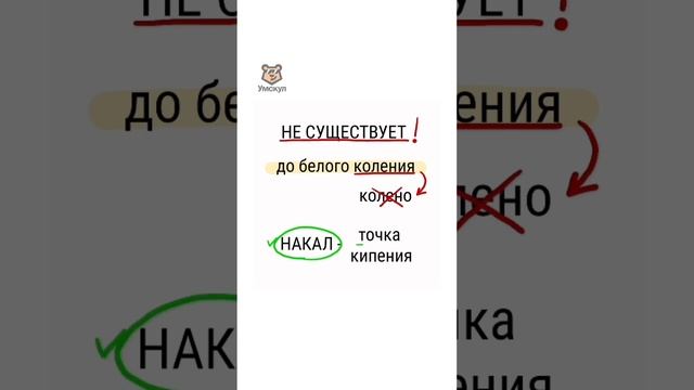 До белого к(?)ления | #русскийязык #егэ #егэрусскийязык