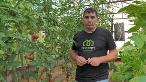 Кистедержатель "Двойной крючок" и S-образная клипса