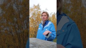 Это интересно: Березовский фонтан