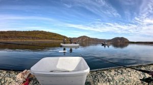 Корюшка, как из бочки . Озеро Вилюй ( Солёное ) 
08.10.2024 открыл сезон по маленьким рыбам ))