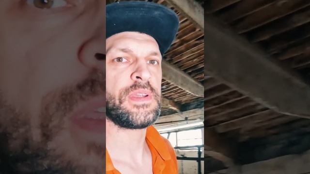 Как мы ИДЕАЛЬНО побелили КОРОВНИК за 2 дня? Вы НЕ ПОВЕРИТЕ! #покраска #покраскапотолка #маляр