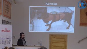 А.Н. Бокарёв - Гипертрофическая кардиомиопатия и дилатационная кардиомиопатия. Часть 2 | УЦ «ЗООВЕТ»