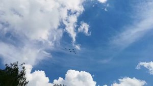 Русские Витязи 15.05.2021 г.