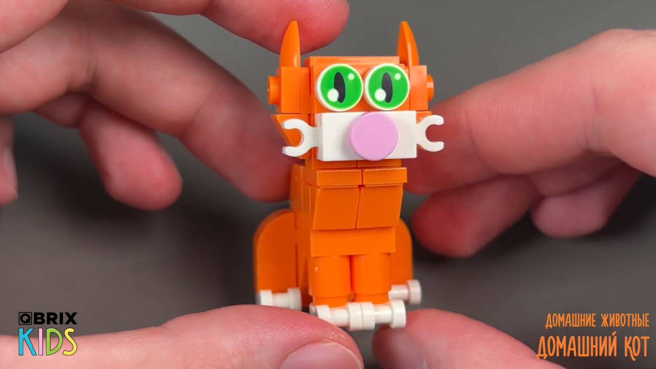 Собираем домашнего кота из конструктора QBRIX KIDS - коллекция детских конструкторов смотреть онлайн