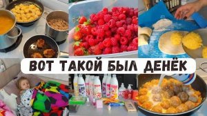 Дела домашние🤰Готовлю 🧑🍳 Собираем ягоды 🍇 Большой заказ Фаберлик 📦 Съездили к родителям ❤️