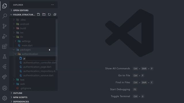 Flutter Folder Structure and Packages