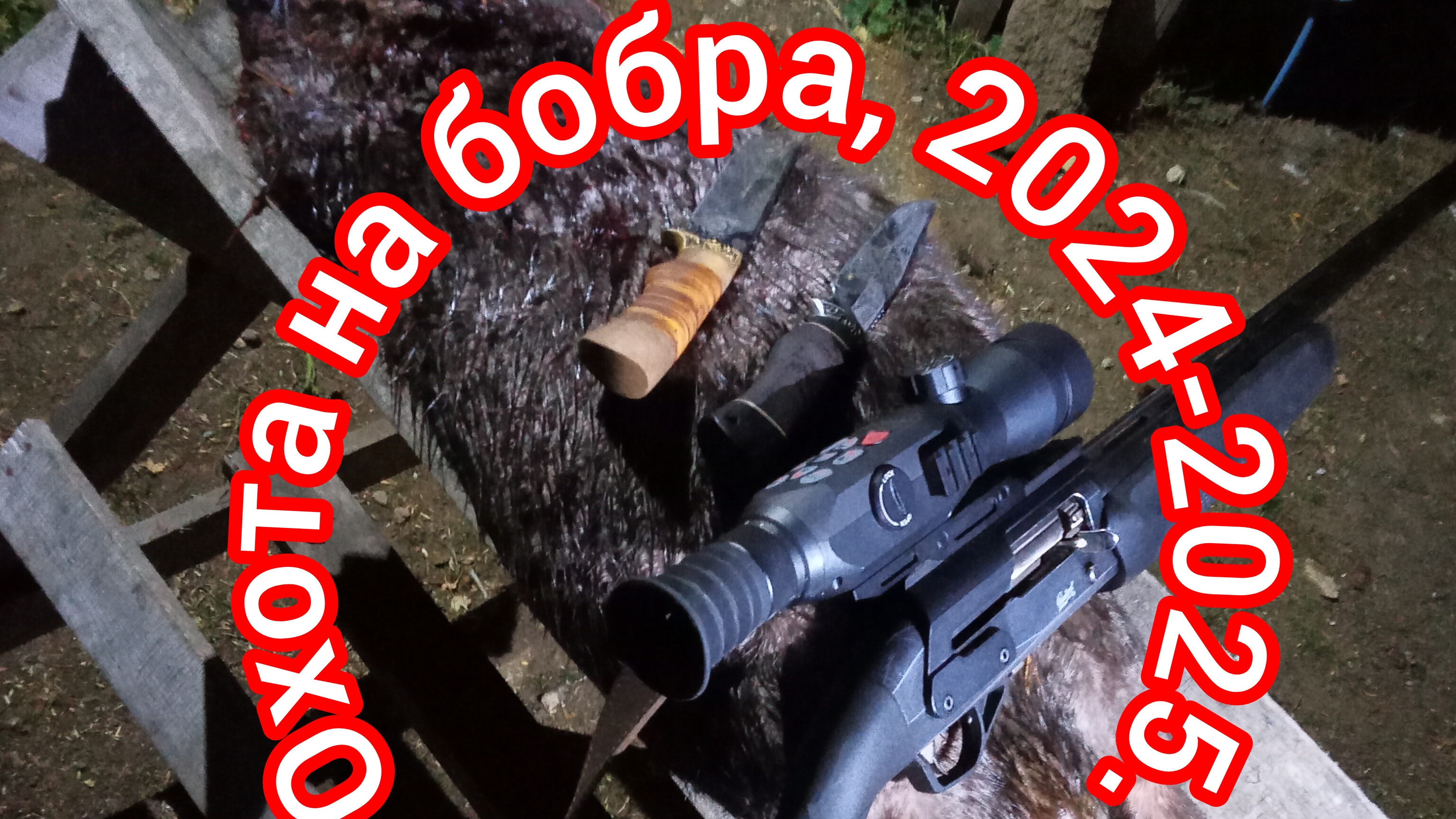 Охота на бобра с ночным цифровым прицелом, ружьё МР-155, первый трофей 2024 года. смотреть онлайн