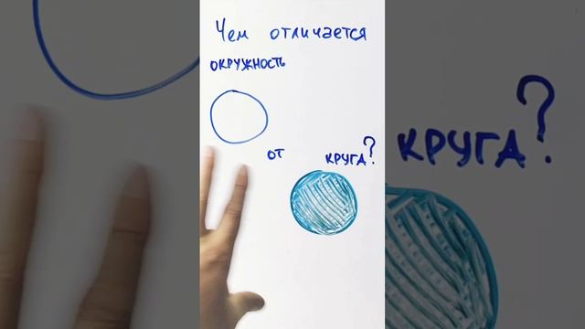 Чем отличается окружность от круга?