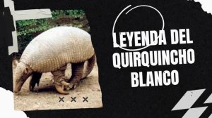 Leyenda del Quirquincho blanco | Leyendas de Bolivia