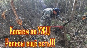 Металлокоп! Копаем на УЖД. Снова рельсы!!!