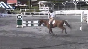 Mr. Mojo Rising at Quentin Riding Club Fall Horse Show 2012 Meter.90 Jumpers Saturday.wmv