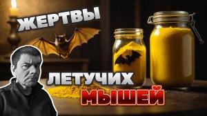 Берегите летучих мышей!