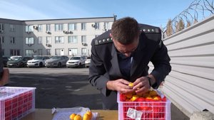 Сезонные фрукты из Азии проверили новосибирские таможенники