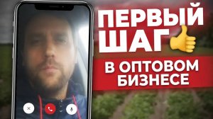 Старт в Оптовом Бизнесе С НУЛЯ. Реальный Кейс. Заработок в интернете, бизнес практика