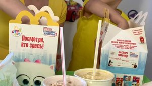 ТАЙНАЯ ЖИЗНЬ ДОМАШНИХ ЖИВОТНЫХ 2 ХЭППИ МИЛ 2019 THE SICRET LIFE OF PETS 2 HAPPY MEAL MCDONALDS