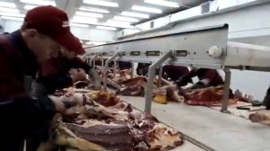 Транспортно-логистический промпарк «Агрыз»