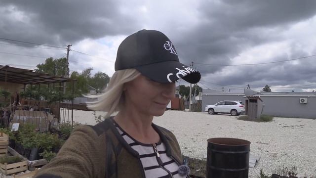 Где купить зеленую красоту в Гостагаевской Анапа смотреть онлайн