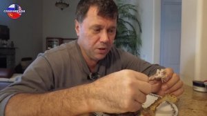 Русские в Америке. Утка с яблоками