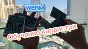 Лучший флориш для начинающих обучение (werm cardistry tutorial )