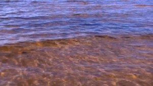 Сергей Литвяков.  КАК ЖАЛЬ...