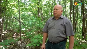 О катастрофе под Ашой