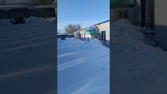 4 июня 2024 г.