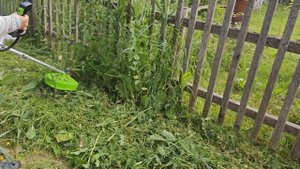 Короткая демонстрация работы триммера Greenworks GD60BCB на 60В