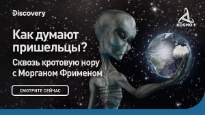 СКВОЗЬ КРОТОВУЮ НОРУ С МОРГАНОМ ФРИМЕНОМ: КАК ДУМАЮТ ПРИШЕЛЬЦЫ? | DISCOVERY