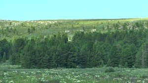 Часть 1.  Путешествие по Горному Алтаю.  Ашпагачские озера -  Каракокшинские пещеры, июль 2024г.