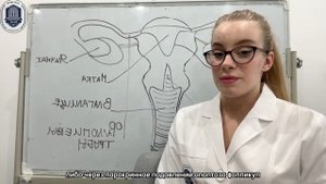HAAK LIMITED
💡 Может ли стволовая терапия стать решением для женщин с преждевременной недостаточн