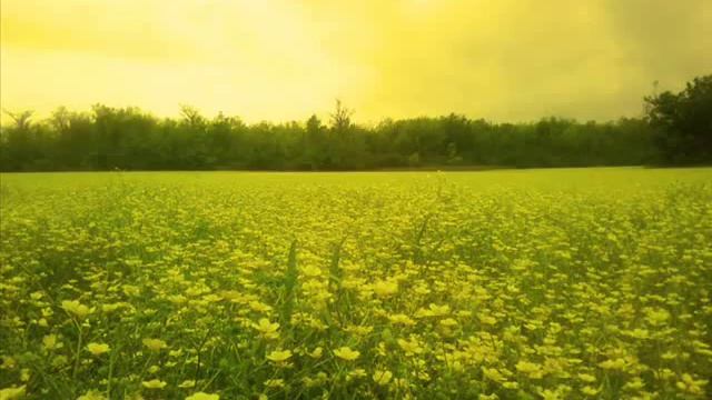 Eberhard Weber - Touch смотреть онлайн