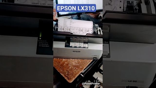 Printer EPSON LX310 Test Print Windows 10