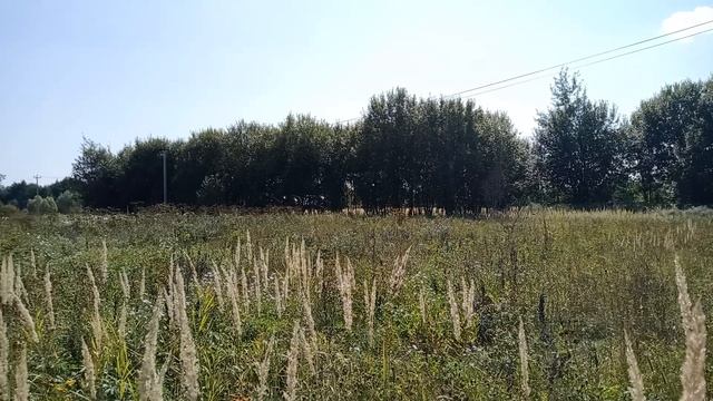 с. Карпово
