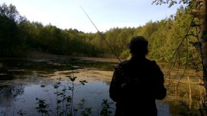РЫБАЛКА В ПОДМОСКОВНОЙ ТАЙГЕ. ЛОВЛЯ НА ХОРВАТСКОЕ ЯЙЦО НА ЗАРОСШИМ ВОДОЕМЕ. КОМАРЫ ВЫПИЛИ ВСЮ КРОВЬ.