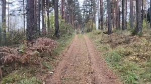Бодрое утро 21