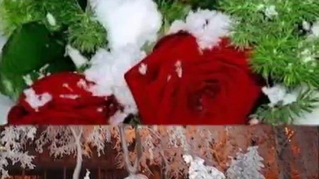 Сальваторе  Адамо   ПАДАЛ СНЕГ